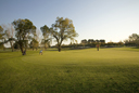 Golf Course
