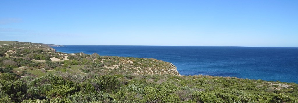 kangaroo island