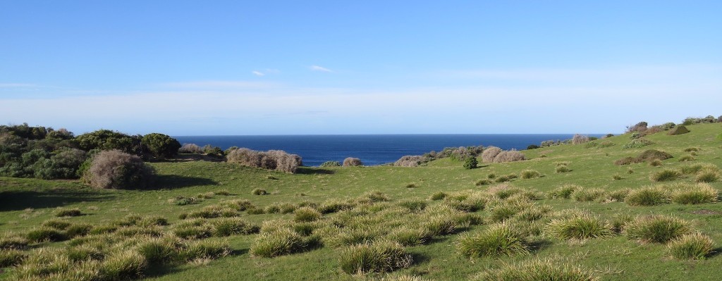 kangaroo island