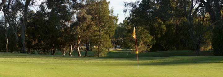 tooleybuc golf course